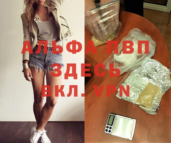 СК Верхний Тагил