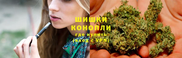 тгк Богородск
